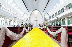 lot 14280 image: AMZLOKAE Aisle Runner for Weddings - Yellow Sequin Glitter Aisle Runner (2FTx15FT)