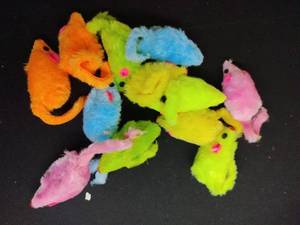 lot 14380 image: Colorful Plush Cat Toys Set 12 pc