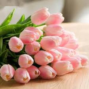 lot 5461 image: Pink Artificial Tulip Flowers Bundle