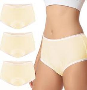 lot 12449 image: CARER Absorbent Underwear Fast Absorption Incontinence Pampering