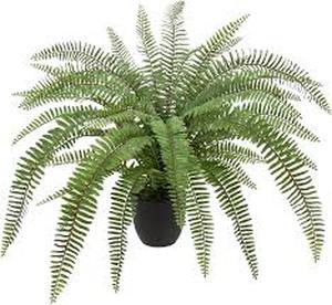 lot 20040 image: Boston Fern House Plant in Black Pot Artificial Plant