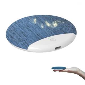 lot 2389 image: Bluetooth Pillow Speaker-Mini Bone Conduction Bluetooth Sleep Aid,Private Sleep Headphones,Ultra Thin Pillow Speaker for Adult (Ellipse)