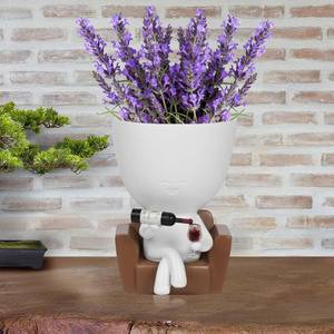 lot 4124 image: Wnsamoddy Funny Face Planter Pots with Drainage - Resin Head Flower Pot for Indoor Outdoor Succulents Cactus, Unique White Elephant Gifts for Wine & Plant Lovers, Home Office Desk Decor