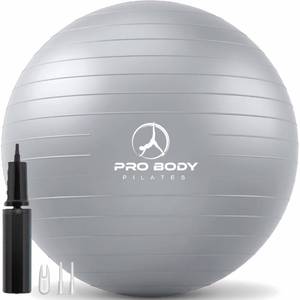 lot 19837 image: ProBody Pilates Exercise Ball - Multiple Sizes Gym Grade Balance Ball for Fitness, Workout, Pregnancy & Physical Therapy, Stability Yoga Ball Chair (Silver, 45 cm)