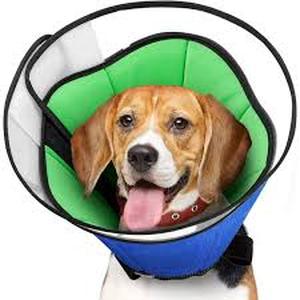 lot 2360 image: Soft Dog Cone Recovery Collars & Cones After Surgery for Small,Medium Large Dogs,Adjustable Breathable Dog Cone Collar,Protect Pets from Licking Wounds,Soft and Comfortable, Reduce Anxiety (Blue, XL)