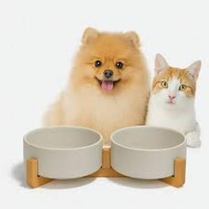 lot 3442 image: Getstar Elevated Ceramic Dog Cat Bowl Set - 1.8-Cup Raised Feeding Bowls with Non-Slip Wood Stand - Small Pet Dishes for Food and Water - Ideal for Cats and Puppies