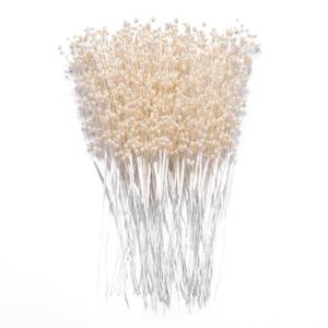lot 10107 image: ZJJZGYXINTAI 60 Pieces Pearl Stick Stems Bouquets, 4mm Bead String Garland Beaded Spray Filler Floral Arrangements Tree Picks Wedding Party Decoration, Christmas Tree Picks (Ivory)