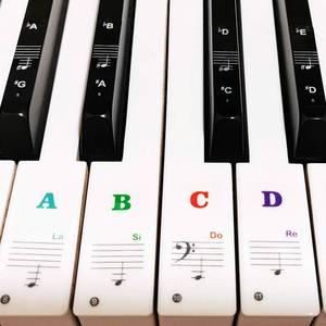 lot 12451 image: Piano Keyboard Stickers for 8861544937 Key, Bold Large Letter Piano Stickers for Learning, Removable Piano Keyboard Letters, Notes Label for Beginners and Kids, Multicolor