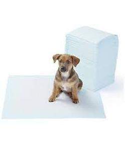 lot 19860 image: Pet Training Pads Regular Size 100-Count