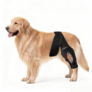 lot 58042 image: Dog Knee Brace for ACL Tear, Cruciate Ligament Brace for Dogs - Adjustable Leg Support for Front & Rear Legs, Support for Surgery Recovery, Hip Dysplasia, Arthritis, CCL & Ligament Injuries (L)