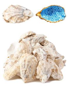 lot 45730 image: Letravagance 20Pcs Oyster Shells for Crafts 3-4  Large Oyster Shell for Crafts��Oyster Shell for Christmas Painting Beach Themes Wedding, Home Shells for Decoration and Sea Shells for Crafting - Retail $27