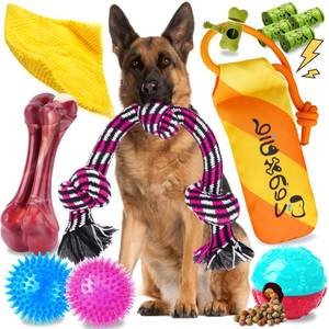 lot 45731 image: Zeaxuie 10Pack Long-Lasting Heavy Various Dog Chew Toys Pack for Aggressive Chewers,Includes Dog Rope Toy,Squeaky Toys & Indestructible Chew Bone for Medium,Large & X-Large Breeds Dogs - Retail $26