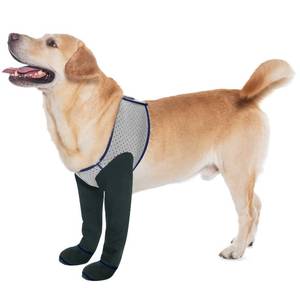lot 45791 image: COODEO Dog Socks & Paw Protectors - Front Paws Only, Non-Slip Waterproof Dog Boots to Prevent Paw Licking, Protect Wounds & Aids Post-Surgery Recovery (Grey, M) - Retail $31