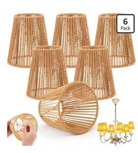 lot 9255 image: Riakrum 6 Pcs Chandelier Lamp Shades Set Small Lamp Shade for Pendant Wall Ceiling Lights