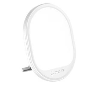 lot 9259 image: UV-Free 10000 Lux Daylight Lamp - Touch Control with 3 Brightness Levels & 4 Timer Functions, Large Surface & Rotatable Stand for HomeOffice