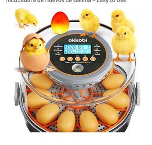 lot 9305 image: 12 Egg Incubator with Automatic Egg Turning and Humidity Control Temperature Adjustment incubators for Hatching Eggs