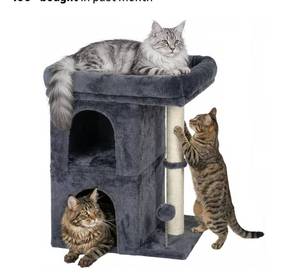 lot 9398 image: Aechonow Cat Tree for Large Cat, 19  16.5In Large Cat Perch, Adult Cat Tower