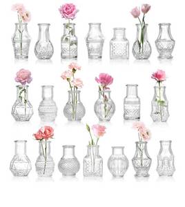 lot 9425 image: Tebery 20 Pack Glass Bud Vases, Clear Small Flower Vase