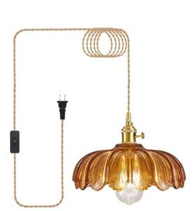 lot 9451 image: Plug in Pendant Light, Hanging Lights with Plug in Cord, Hanging Light Fixture