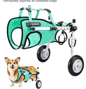 lot 9489 image: Nasjac Dog Wheelchair for Back Legs - Lightweight Portable Wheelchair with Reflective Stripes
