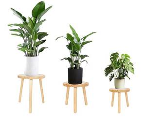 lot 9499 image: Amdermi 3-Pack Wood Plant Stands Indoor