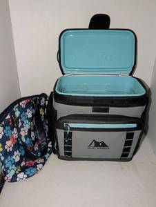 lot 2362 image: AZ Pro Insulated cooler with FitFresh Paw Print Bag