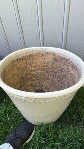 lot 4005 image: Decorative Ceramic Planter with Circle Pattern  12 inches tall, 15 inches across