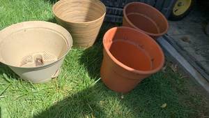 lot 4113 image: Plastic flower pots 10x12 and smaller