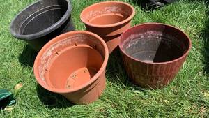 lot 4115 image: Garden plastic pots 12x13 and smaller