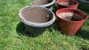 lot 4116 image: Garden plastic pots 11x12 and smaller