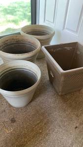 lot 4118 image: Plastic flower pots 12x15 and smaller