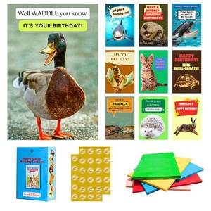 lot 18979 image: Imperial Designs 40 Pack Funny Punny Birthday Cards with Envelopes and Stickers - 20 Unique Designs - for Office, Teachers, Family & Friends - Assorted Bulk Animal Birthday Cards (Medium, 4x6, Blank Inside) - Retail $25
