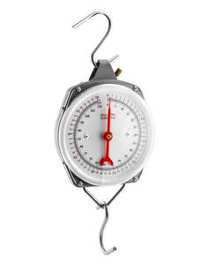 lot 19070 image: QWORK Precision Hanging Scale, 110lbs  50kg Capacity, Dual Unit, Heavy Duty - Retail $16