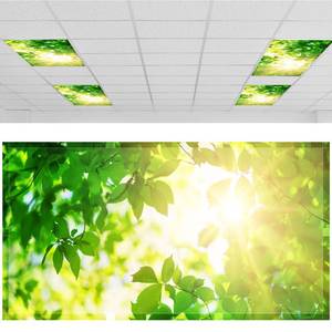 lot 38 image: Patelai 4 x 2 Feet Fluorescent Light Cover for Fabric Ceiling Classroom Magnetic Cubicle Shade with 10 Magnets Fluorescent Light Filters for School Home Office Drop Lamp Decor(Green Leaves) - Retail $9