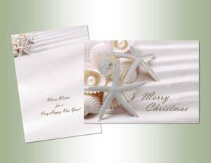 lot 19282 image: Performing Arts 14 Glitter Embellished Cards with Full Color Inside Shells and Pearls 14 envelopes 7.75x5.5 inches, 1 Pack, 66169-14 - Retail $15