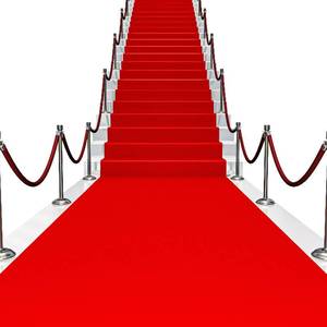 lot 19410 image: Red Carpet Runner for Party 100 GSM Felt Non-Woven Fabric Runway Carpet for Event, Aisle Runner for Wedding Ceremony Hollywood, Movie Theme Rug Party Decor (Red, 2 X 15 Ft) - Retail $13
