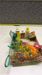 lot 1410 image: Aquarium Care Kit with Fish Net, Cleaning Supplies and Plants