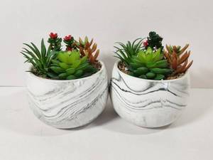 lot 164 image: Artificial Succulent Plants in Marbled Ceramic Pots Set of 2