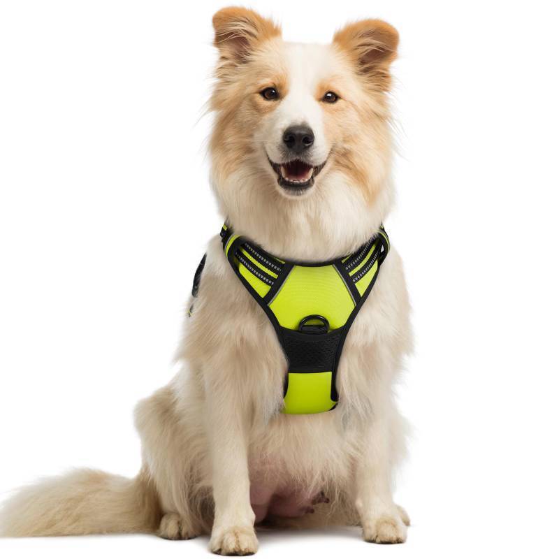 lot 58930 image: rabbitgoo Dog Harness No Pull with 2 Leash Clips, Adjustable Soft Padded, Reflective Oxford No Choke Pet Vest with Easy Control Handle for Medium Sized Dogs, Green, M - Retail $27