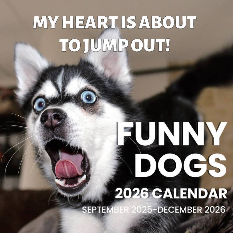 lot 32662 image: SUNEE Wall Calendar 2026, Dog Calendar From September 2025 to December 2026, 12x24 Opened, Dog Emojis Theme Large Calendar 12x12 for Organizing & Planning - Retail $6
