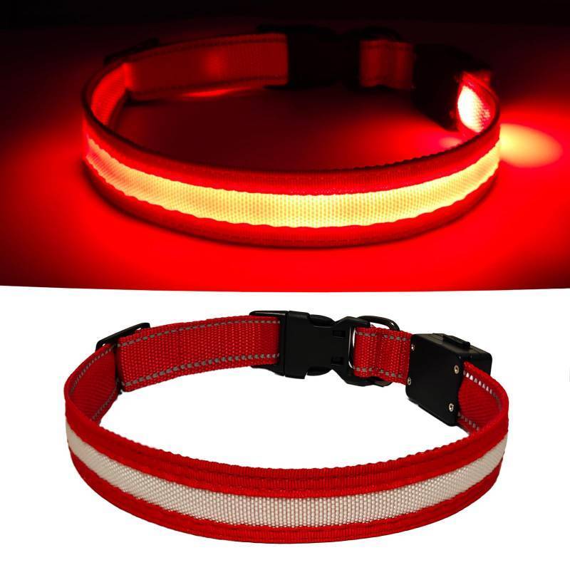 lot 58972 image: LED Dog Collar Light Up with 2025 Bright Beads & 300mAh Battery, Type-C Rechargeable Waterproof Dog Collar, 3 Flash Mode 15H for Night Safety, Adjustable Nylon Glow Collar for Small Medium Large Dogs - Retail $7