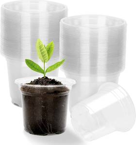 lot 3284 image: KINGLAKE 4 Inch Clear Plant Nursery Pots with Drainage Hole,36 Pcs Plastic Clear Nursery Pots for Plants,Transparent Planter Nursery Pots for Potting Seed Cutting Succulent Indoor Outdoor Plants