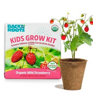 lot 1088 image: Back to the Roots Organic Alpine Strawberry Kids Grow Kit Science Edition - Retail $10