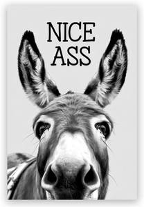 lot 342039 image: Funny Donkey Wall Art Nice Ass,Donkey in Bathroom Posters Middle Ages Abstract Farmhouse Home Canvas Print Painting Interest Black and White Wall Decor 8x12inch Unframed