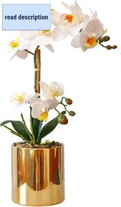 lot 441996 image: Fake Orchid White Flowers Realistic Orchids Plants 16.5 Real Look Faux Orchid in Gold Ceramic Pot for Home Decor Bathroom Kitchen Office Living Room Table Centerpieces