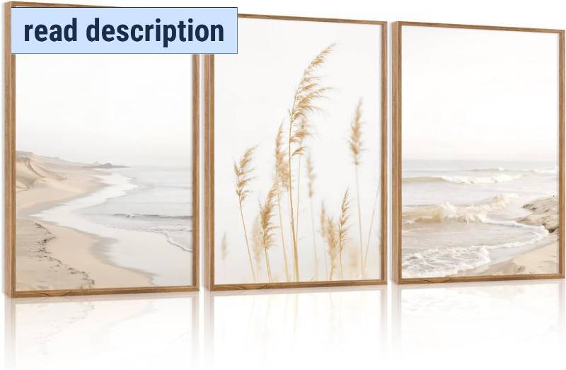 lot 242000 image: Retails for $130 HPNIUB Modern Beach Waves Framed Wall Art Set,Seaside Reed Pathway Wall Decor,Minimalist Neutral Coastal Landscape Printing,Boho Seascape Nature Artwork for Living Room, Bedroom,Bathroom-24x36x3