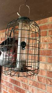 lot 2694 image: Metal Wire Bird Feeder with Protective Cage