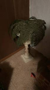 lot 2740 image: Decorative Fern Plant with Ornate White Pedestal