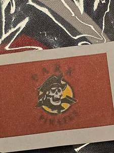 lot 4174 image: Park pirates 3 ft by 5 ft double-sided Nylon flag