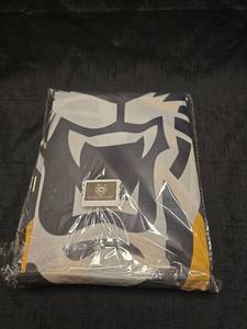 lot 4176 image: Fort Hayes State University 3 ft x 5 ft double-sided Nylon flag